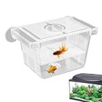 Combien de guppy pour 20 litres : Guide d'analyse et de comparaison des meilleures options pour vos poissons