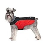 Guide d'achat pour bouledogue français à donner dans le 62 : Comparatif des meilleurs produits pour animaux de compagnie Guide d'achat pour bouledogue français à donner dans le 62 : Comparatif des meilleurs produits pour animaux de compagnie
