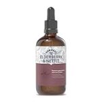 Les meilleurs produits pour chien à base d'ortie : Analyse et comparaison Les meilleurs produits pour chien à base d'ortie : Analyse et comparaison