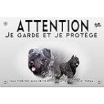 Bouvier des Flandres Chiot à Vendre : Analyse et Comparaison des Meilleurs Produits pour Animaux de Compagnie