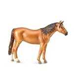 Trouvez le meilleur équipement pour votre cheval à donner Frison : analyse et comparaison des produits essentiels pour votre fidèle compagnon