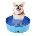 Fracture du bassin chez le chien : Comment choisir les meilleurs produits pour son rétablissement