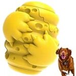 Le meilleur jouet pour chien destructeur : Comparaison des options les plus résistantes pour divertir votre animal de compagnie