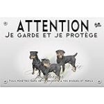 Guide complet des produits indispensables pour un Jagd Terrier de 4 mois
