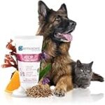 Les meilleurs produits pour chiens allergiques aux chats : comparaison et analyse