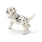 Les Meilleurs Produits pour Chiots Dalmatiens : Analyse et Comparaison