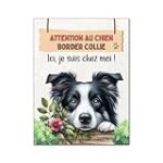 Les meilleurs produits pour un border collie noir et feu : analyse et comparaison