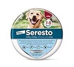 Seresto : Comparaison entre les versions d'Elanco et de Bayer pour animaux de compagnie