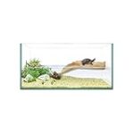 Comparatif des meilleurs aquariums complets pour tortue d'eau : quels produits choisir pour votre animal de compagnie?