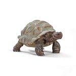 Les meilleurs jouets pour tortues : Analyse et comparaison des produits pour animaux de compagnie