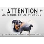 Découvrez les meilleurs produits pour votre arlequin beauceron : analyse et comparaison