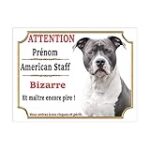 Le staff bleu et blanc : Analyse des meilleurs produits pour animaux de compagnie