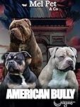 Élevage American Bully en France : Analyse et comparaison des meilleurs produits pour ces animaux de compagnie