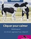 Les meilleurs calmants pour chien agressif recommandés par les vétérinaires : analyse et comparaison des produits pour animaux de compagnie