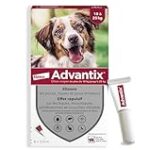 Analyse et Comparaison des Meilleurs Traitements Anti-parasitaires pour Chiens de 15-30 kg : Focus sur le NexGard Spectra