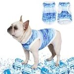 Comparatif des meilleurs gilets rafraîchissants pour chiens : avis et guide d'achat