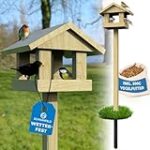 Comparatif des meilleures mangeoires et nichoirs pour oiseaux : guide d'achat pour vos compagnons à plumes