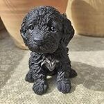 Guide d'achat : Comparaison des meilleurs produits pour animaux de compagnie pour votre cockapoo à vendre