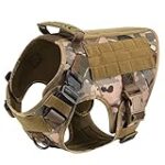 Comparaison des meilleurs produits pour animaux de compagnie pour Malinois et Labrador: le guide ultime