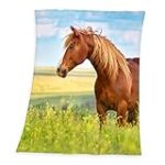Soldes sur les couvertures pour chevaux : Analyse et comparaison des meilleurs produits pour animaux de compagnie