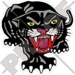 Comparatif des meilleurs produits pour animaux de compagnie : Le jaguar chat - Guide complet d'achat