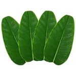 Les feuilles de bananier dans les produits pour animaux de compagnie : analyse et comparaison des options les plus innovantes