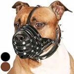 Comparatif des meilleures muselières en cuir pour chiens : Guide d'achat pour le bien-être de votre animal de compagnie