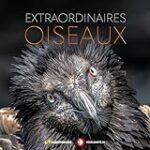 Le guide ultime des meilleurs produits pour les oiseaux bengalis : comparaison et analyses