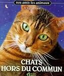 Les amies des chats ambaresiens : Analyse et comparaison des meilleurs produits pour vos compagnons félins