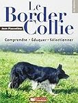 Les indispensables pour équiper votre Border Collie au top de sa performance avec son troupeau !