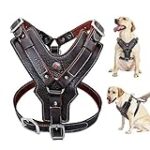 Les meilleurs harnais en cuir pour chien : Comparaison et analyse des produits phares pour votre fidèle compagnon