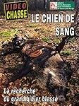 Guide complet : la recherche du chien de sang pour votre animal de compagnie