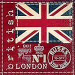 Comparaison des accessoires indispensables pour les British Longhair à vendre