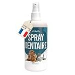 Combattez la mauvaise haleine du chiot : Comparaison des meilleurs produits pour garder votre animal frais et propre