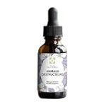 Les meilleurs produits pour chien qui détruit : analyse et comparaison Les meilleurs produits pour chien qui détruit : analyse et comparaison