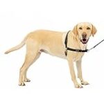 Comparatif des meilleurs harnais Easy Walk pour chiens : Trouvez le modèle idéal pour promener votre fidèle compagnon !