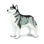 Les Meilleurs Produits pour Animaux de Compagnie pour Votre Golden Siberian Husky