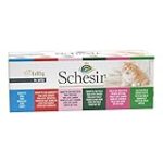 Analyse et comparaison des meilleurs produits Schesir pour chat : le choix idéal pour votre compagnon félin