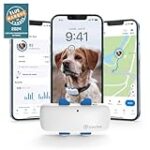 Comparatif des meilleurs colliers connectés pour chien : quel est le meilleur choix pour votre compagnon à quatre pattes ?