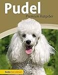 Les meilleures fournitures pour l'élevage de caniche toy : Analyse et comparaison des produits indispensables pour votre animal de compagnie