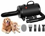 Comparatif des meilleurs souffleurs pour chien : comment choisir le plus adapté à votre compagnon à quatre pattes