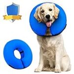 Comment prendre soin d'un chien atteint de tumeur mammaire : guide d'achat des meilleurs produits pour animaux de compagnie