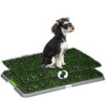 Comparatif des meilleures toilettes pour chien : quelles sont les plus adaptées à vos animaux de compagnie? Comparatif des meilleures toilettes pour chien : quelles sont les plus adaptées à vos animaux de compagnie?