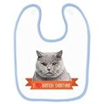 Guide d'achat pour British Shorthair bébé : les meilleurs produits pour votre nouveau compagnon à quatre pattes