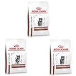 Les meilleures croquettes gastro-intestinales pour chatons : analyse et comparaison des produits pour animaux de compagnie