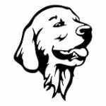 Les différentes couleurs du pelage chez le Golden Retriever : Analyse et comparaison des meilleurs produits pour animaux de compagnie