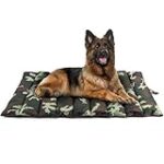 Top 10 des meilleurs tapis imperméables pour chien : Analyse et comparaison des produits pour animaux de compagnie