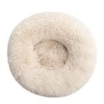 Analyse et comparaison des meilleurs produits pour animaux de compagnie : Avis sur MrFluffyFriend