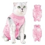 Comment habituer son chat à sortir et revenir : Analyse et comparaison des meilleurs produits pour animaux de compagnie