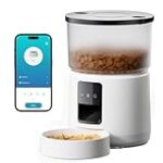 Combien de temps garder un chaton enfermé : Analyse et comparaison des meilleurs produits pour animaux de compagnie Combien de temps garder un chaton enfermé : Analyse et comparaison des meilleurs produits pour animaux de compagnie